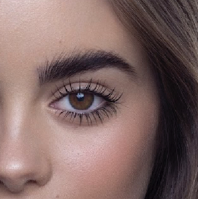 Brows & Lashes